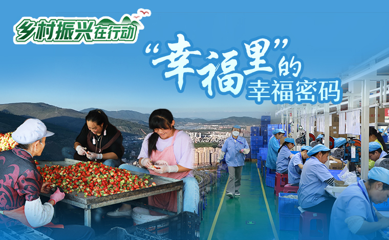 昆明课后托管